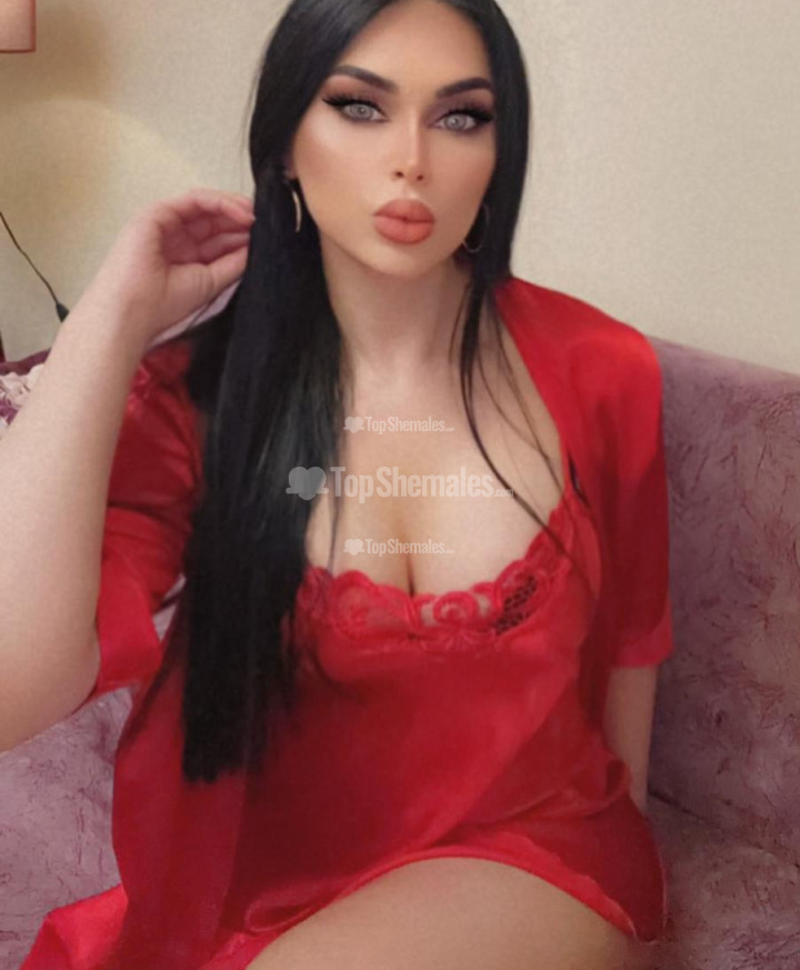 Shemale Escort In Ny