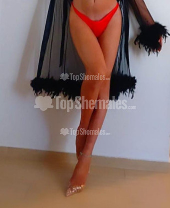 Photo escort girl VIP TOP MODEL: the best escort service