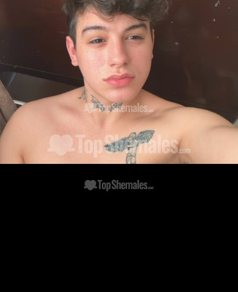 Photo escort girl Alex: the best escort service