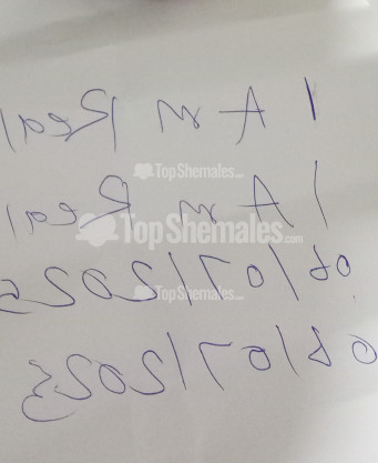 Photo escort girl Ahmed swedan : the best escort service